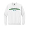 Brookline College Crewneck - White